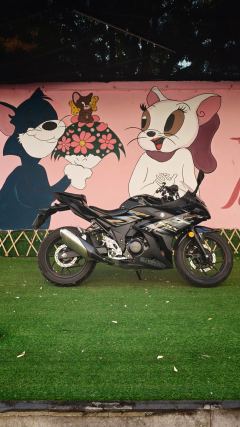 Haojue Suzuki GSX250R - ფოტო 2