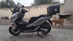 Sundiro Honda NS150GX - фото 4