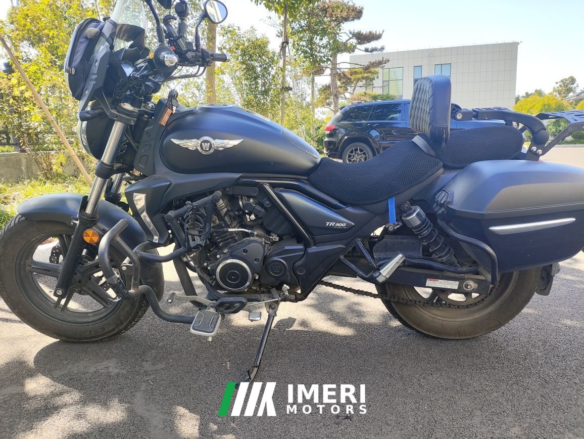 2022 Haojue TR300