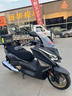 Ariic 318 300 cc - фото 1