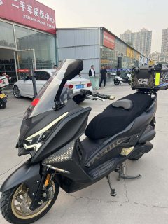 Ariic 318 300 cc - фото 3