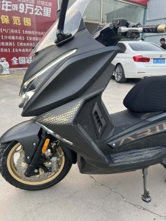 Ariic 318 300 cc - фото 4
