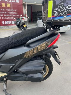 Ariic 318 300 cc - фото 5