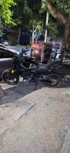 CFMOTO 250CL-X - photo 2