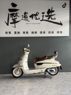 Nanfang Mona Lisa Feige 250 cc - ფოტო 3