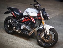 Benelli TNT 300 / BN 302S - photo 1