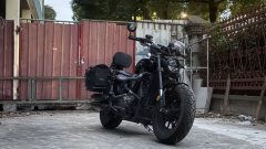 Benda Chinchilla 500 - photo 2