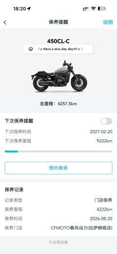 CFMOTO 450CL-C - фото 2