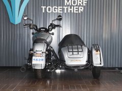 Mojiang MJ919 800 cc - ფოტო 6