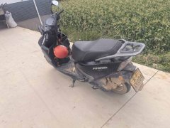 QJMOTOR Hong 125 - фото 4
