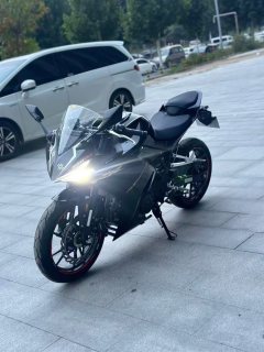 Kayo 250RR Thornbird - ფოტო 1