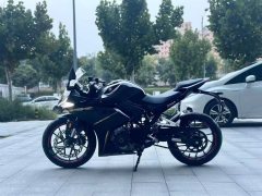 Kayo 250RR Thornbird - ფოტო 3