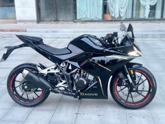 Kayo 250RR Thornbird - ფოტო 5