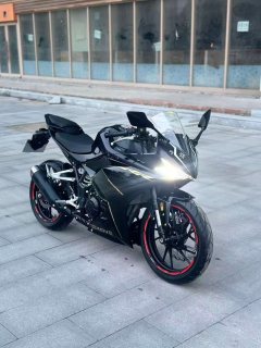 Kayo 250RR Thornbird - ფოტო 6