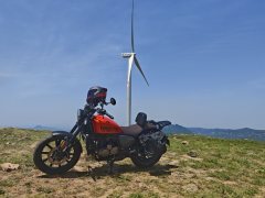 QJMOTOR Flash 250 - ფოტო 1