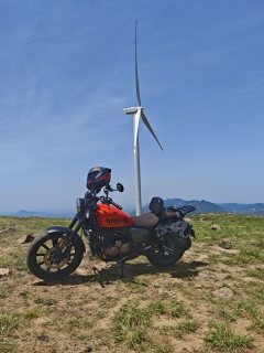 QJMOTOR Flash 250 - ფოტო 2