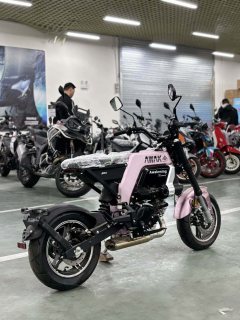 AKMOTOR AK11 125 cc - ფოტო 6