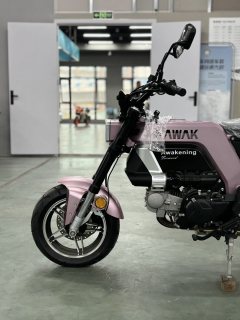 AKMOTOR AK11 125 cc - ფოტო 9