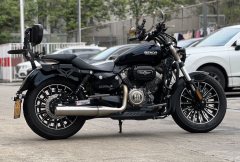 Benda Polestones 03 Gray 300 cc - ფოტო 6