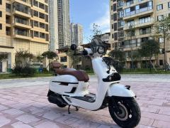 Weiduoliya Sixties 150Si - ფოტო 2