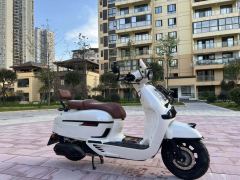 Weiduoliya Sixties 150Si - ფოტო 3