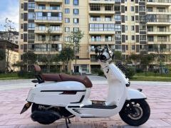 Weiduoliya Sixties 150Si - ფოტო 4