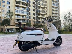 Weiduoliya Sixties 150Si - ფოტო 5