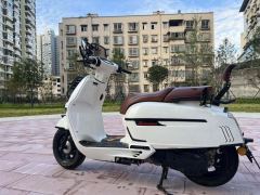 Weiduoliya Sixties 150Si - ფოტო 6