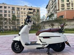 Weiduoliya Sixties 150Si - ფოტო 7