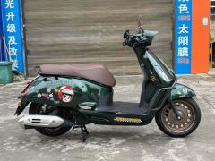 Sundiro Honda NS150LA - фото 4