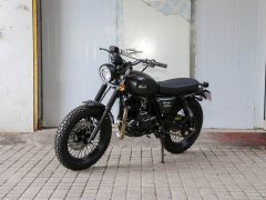Qingqi U 250 cc - ფოტო 10