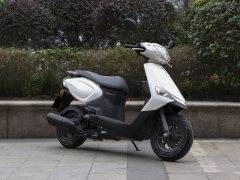 Sundiro Honda NS110L - ფოტო 3