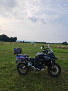 Benelli Jinpeng TRK502 500 cc - ფოტო 1