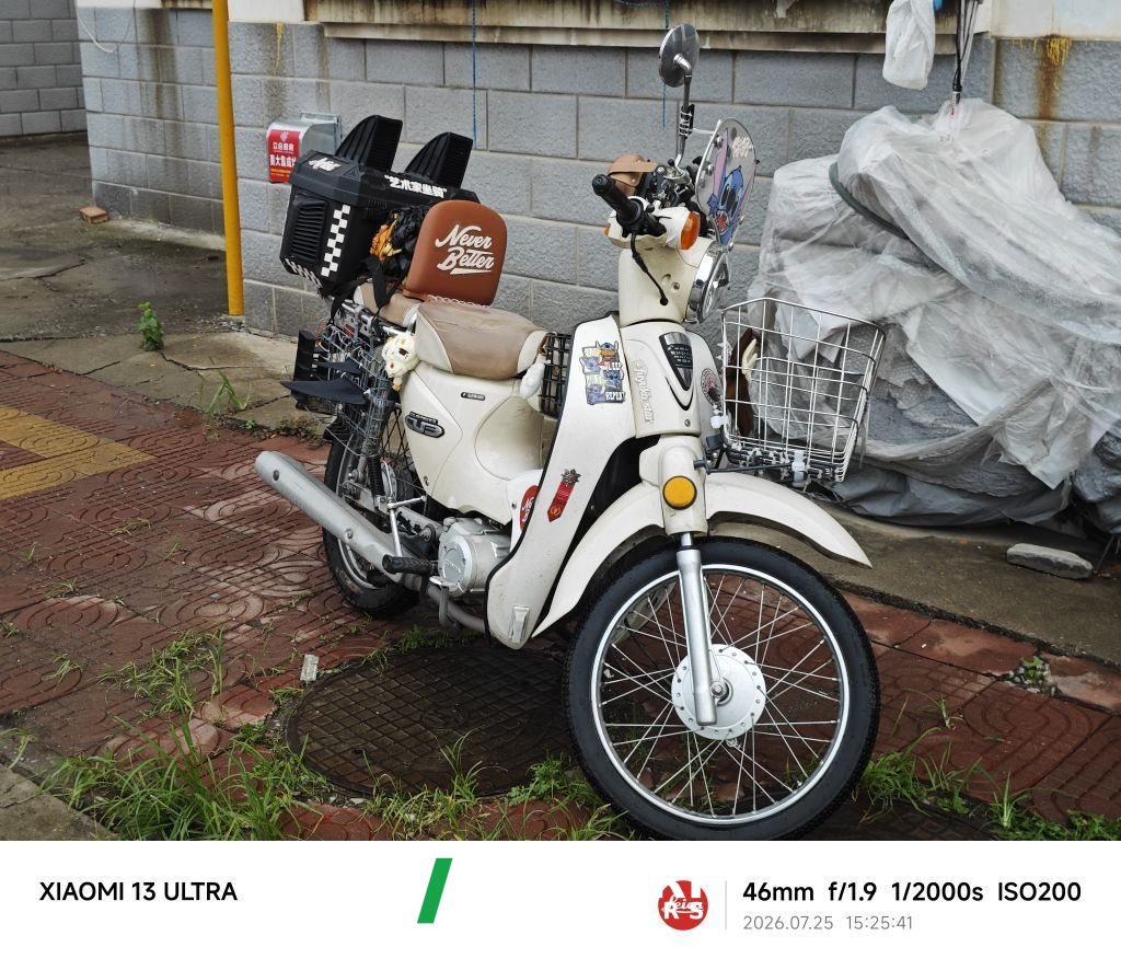 2022 Luojia 110 cc