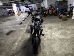 Benelli 502C 500 cc - photo 3