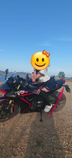 QJMOTOR Sai 600 - ფოტო 2
