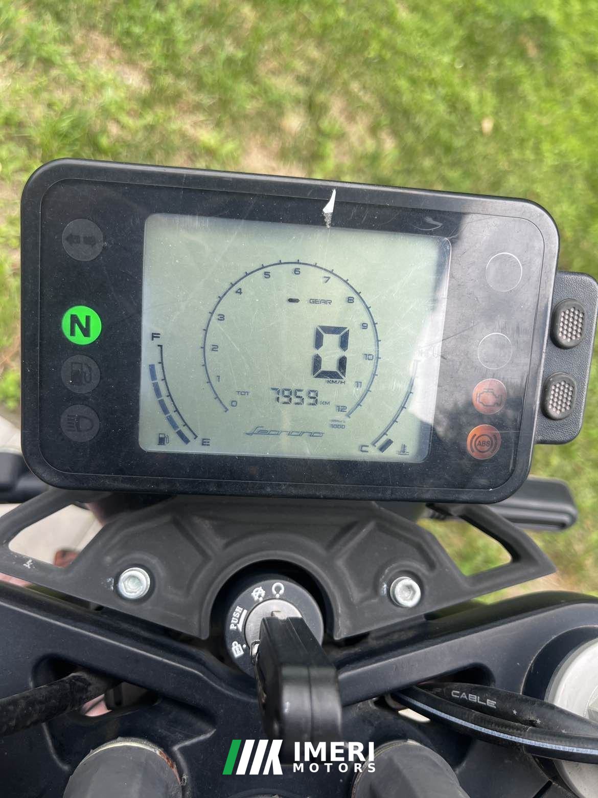 2020 Benelli Young Lion Leoncino 250