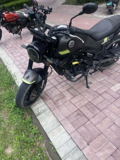 Benelli Young Lion Leoncino 250 - фото 2