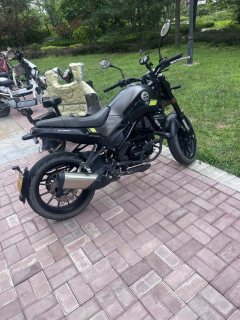 Benelli Young Lion Leoncino 250 - фото 4