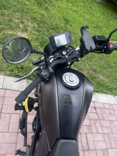 Benelli Young Lion Leoncino 250 - фото 5