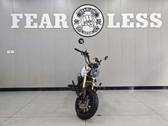 Yingang Honey Badger 150 cc - ფოტო 2