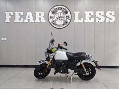 Yingang Honey Badger 150 cc - ფოტო 3
