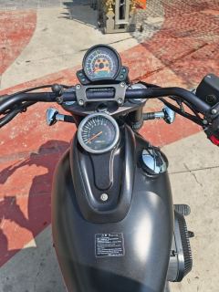 Leike RX3 250 cc - фото 5