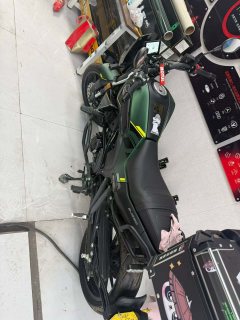 Benelli Young Lion Leoncino 250 - ფოტო 1