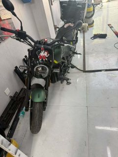 Benelli Young Lion Leoncino 250 - ფოტო 4