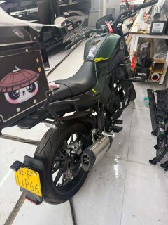 Benelli Young Lion Leoncino 250 - ფოტო 7