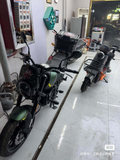 Benelli Young Lion Leoncino 250 - ფოტო 8