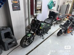 Benelli Young Lion Leoncino 250 - ფოტო 9