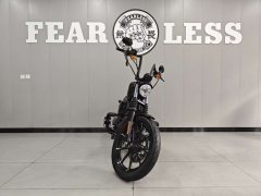 Harley-Davidson Iron883 Tough Guy - photo 2