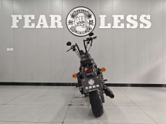 Harley-Davidson Iron883 Tough Guy - photo 4